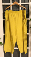 Load image into Gallery viewer, Neon Yellow Joggers 3X