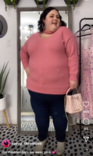 Load image into Gallery viewer, Soft Pink Sweater 22/24