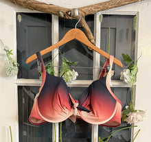 Load image into Gallery viewer, Penn. Ombre Bikini 3X
