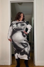 Load image into Gallery viewer, Shein Monroe Dress 4X
