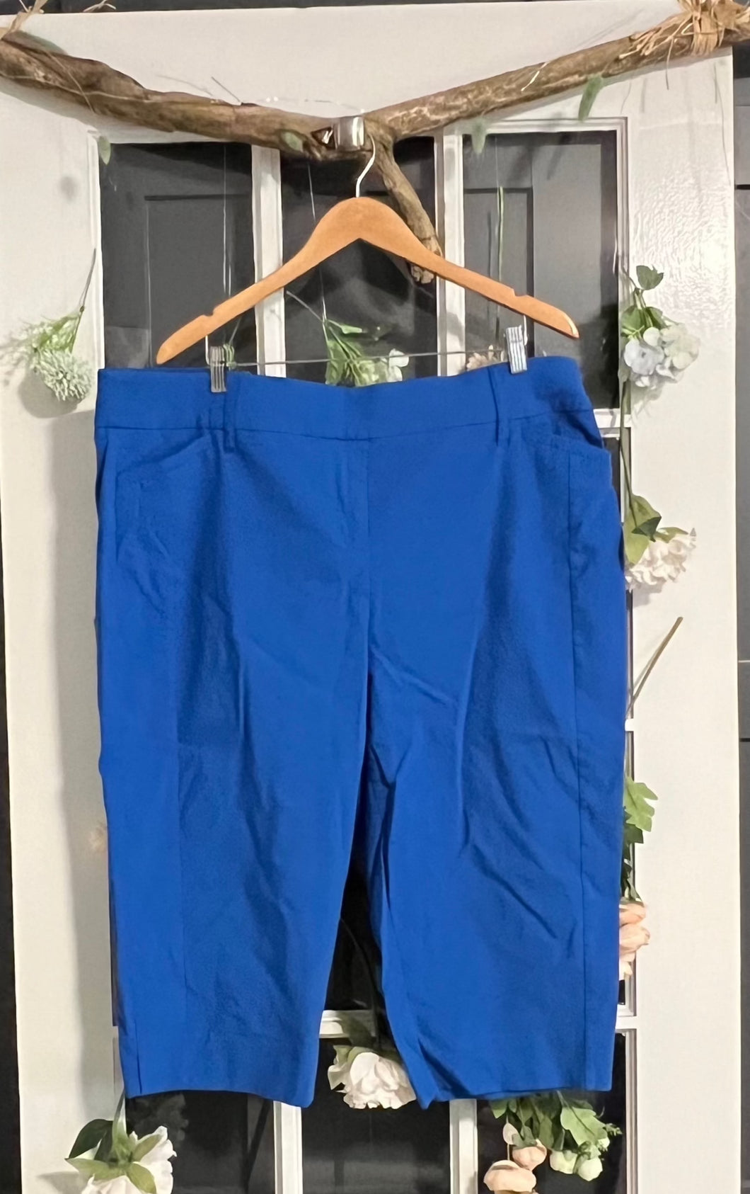 Penn. Savvy Fit Blue Capris 24