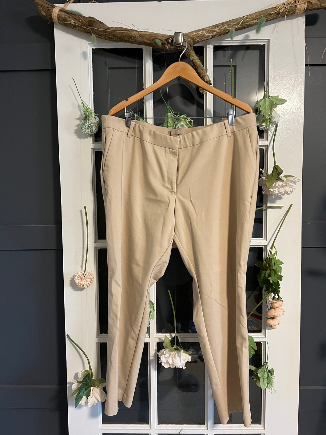 Beige Cotton Pants 22