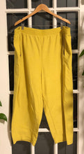 Load image into Gallery viewer, Neon Yellow Joggers 3X
