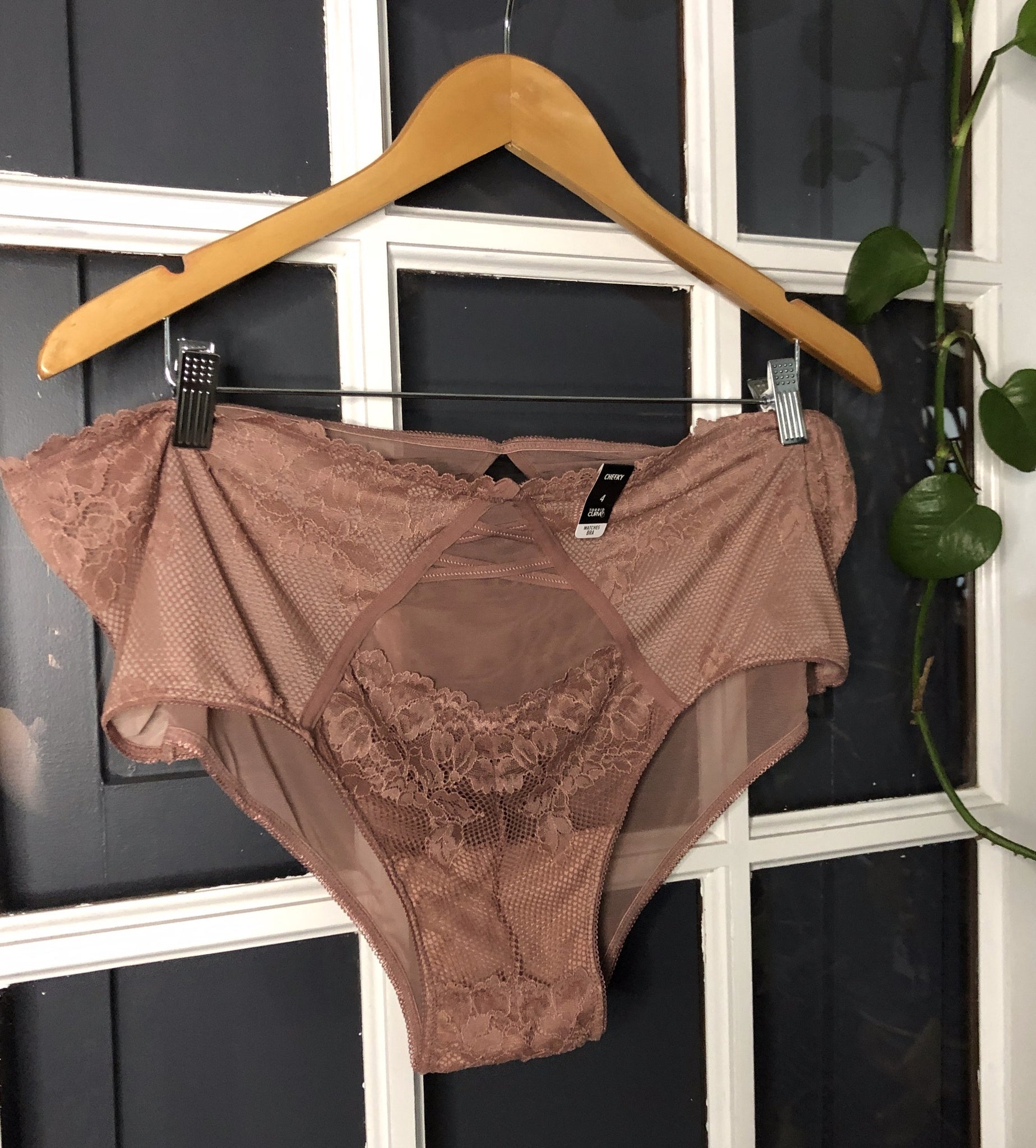 Matching Bra and Underwear Set in Rose 4X